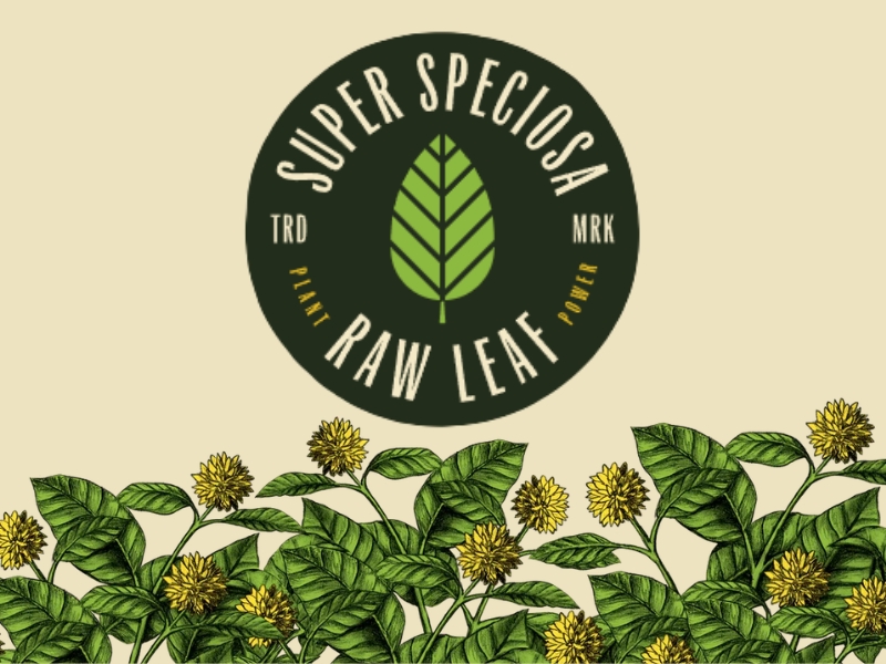 Best Kratom for Pain
